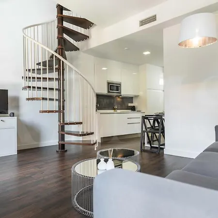 Spacious Duplex With Terrace By Picasso Museum By Rems Apartment *