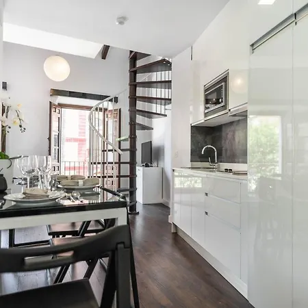 Spacious Duplex With Terrace By Picasso Museum By Rems Apartment *
